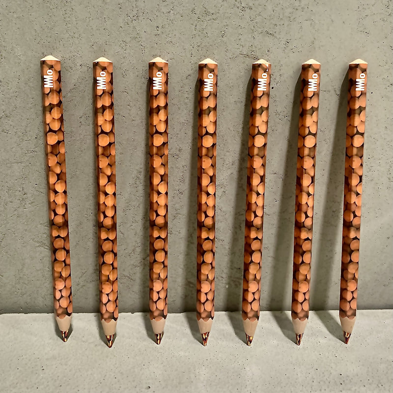 Nepaprastas MO pieštukas su P. Jurkšaitytės NATIURMORTAS (2019) fragmentu